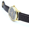 1976 Omega Rare Large Seamaster Cosmic 2000 Automatic Date Model 166.128 with Gloss Brown Spider Web Dial in Gold & Steel
