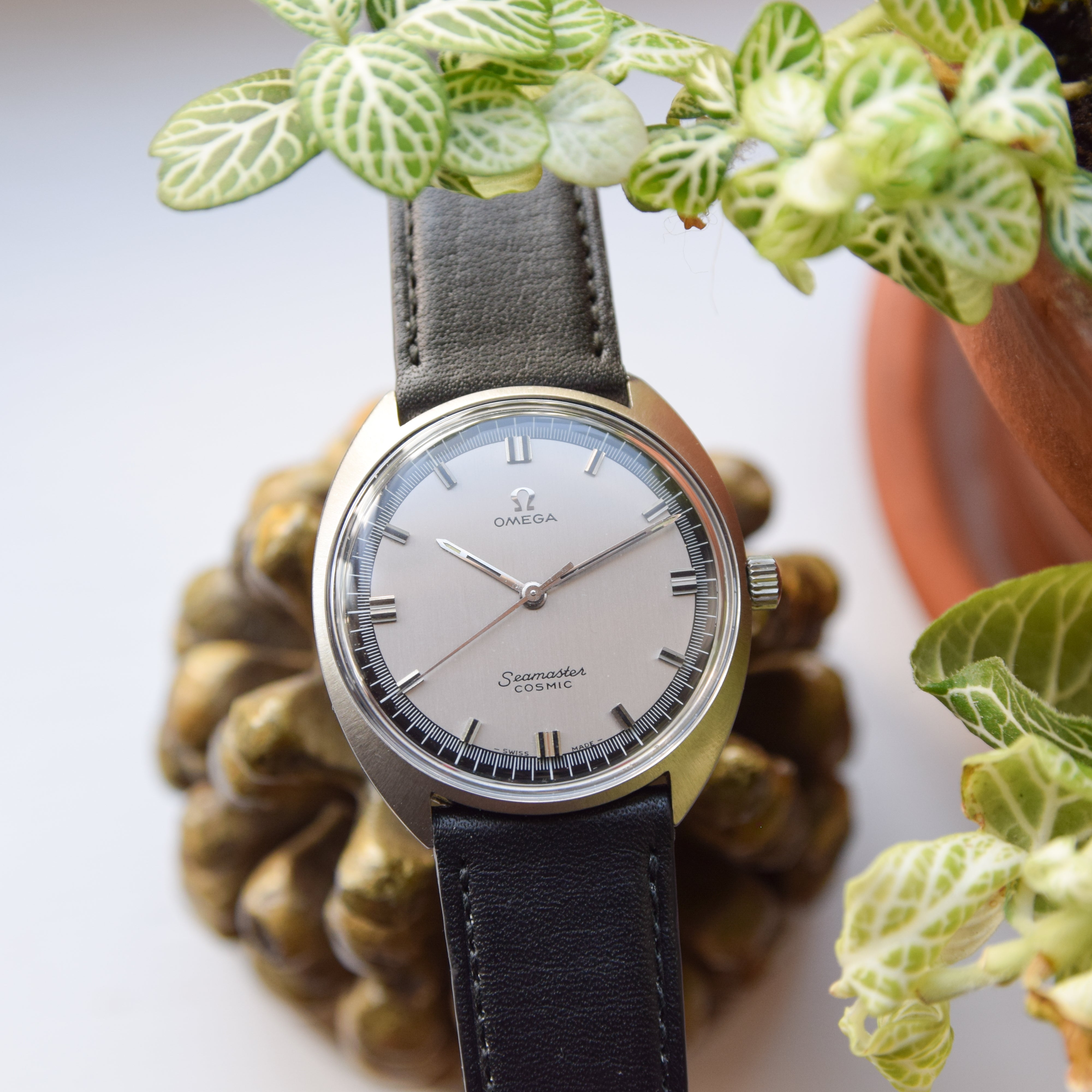 1970 Omega Seamaster Cosmic Model 136.017 Two Tone Graphite Dial in St ...